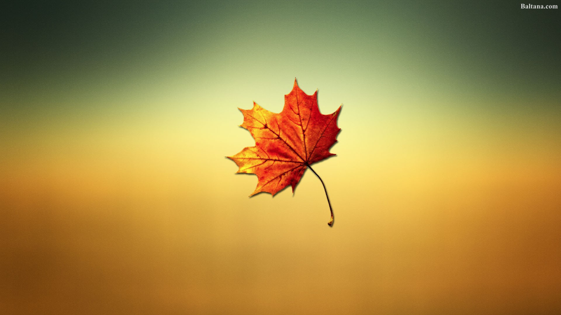 Autumn Wallpaper Hd - 1920x1080 Wallpaper Autumn Wallpaper Hd - 1920x1080 Wallpaper