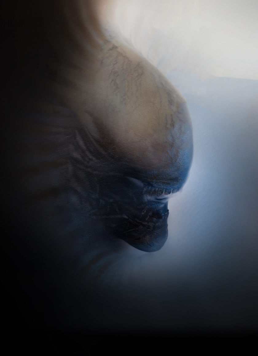 Alien, Creature, Muzzle, Predator, Wallpaper - Darkness - HD Wallpaper 