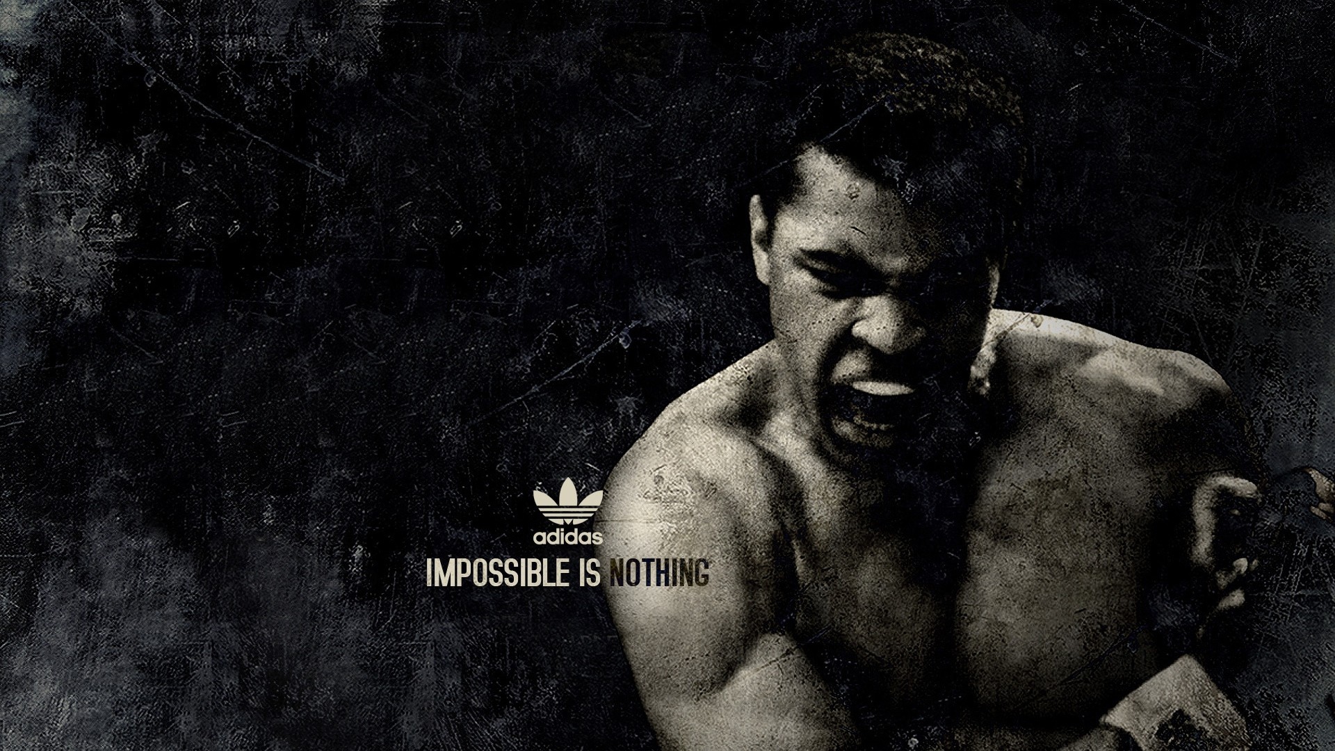 Wallpaper Muhammad Ali, Boxer, Sports, Adidas 
 Data-src - HD Wallpaper 