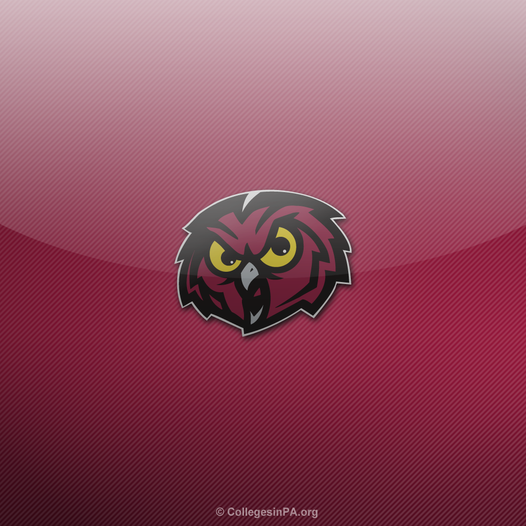 Usc Wallpaper Desktop 18 Page 3 Of - Temple Owls Men's Basketball - HD Wallpaper 