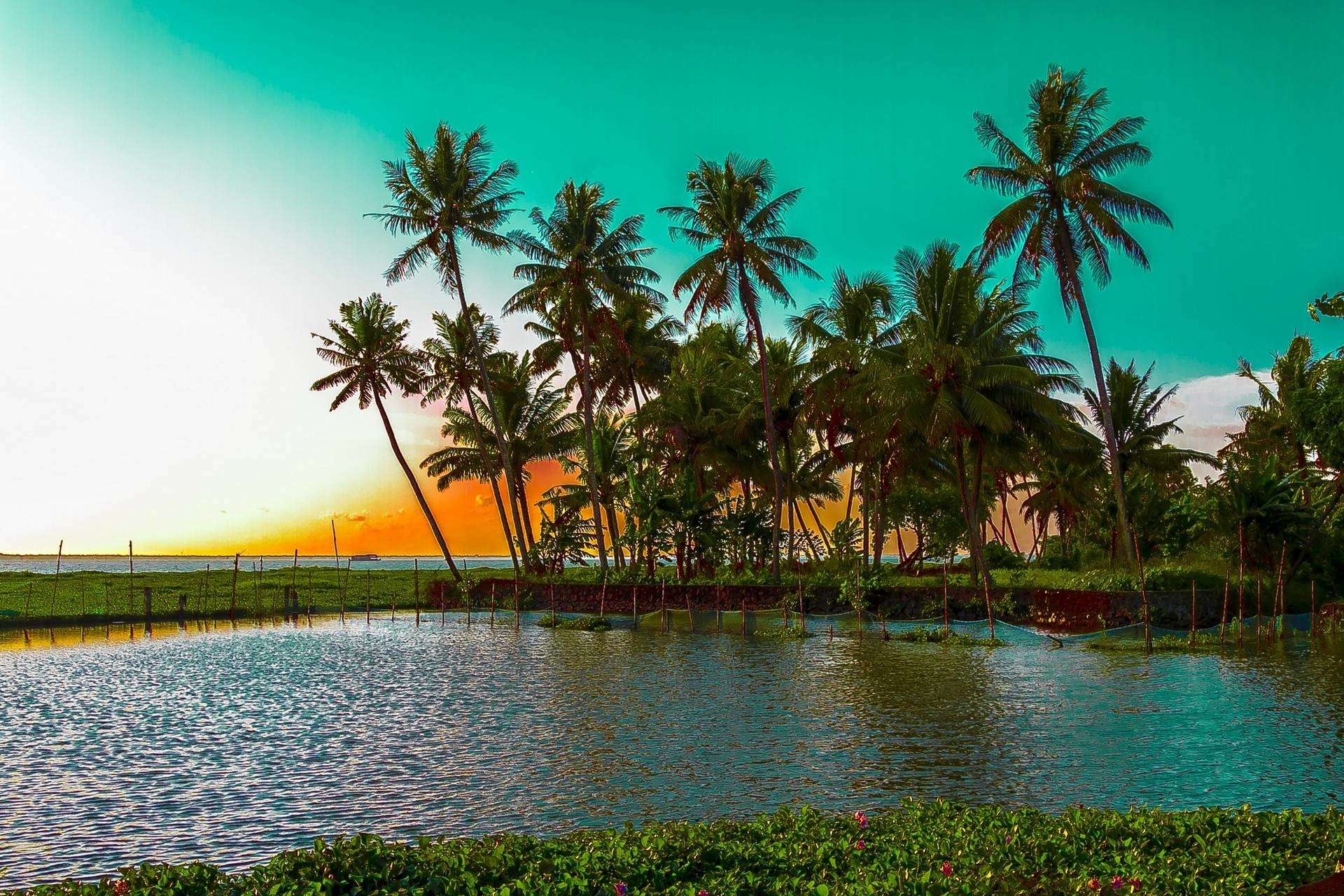 Download Wallpaper Kumarakom Lake, Kerala, India, Kumarakom - Gods Own Country Kerala - HD Wallpaper 