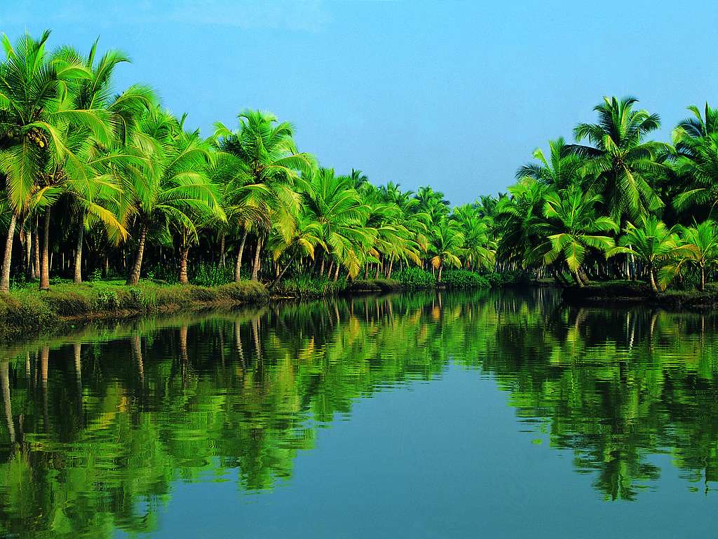 Kerala India - HD Wallpaper 