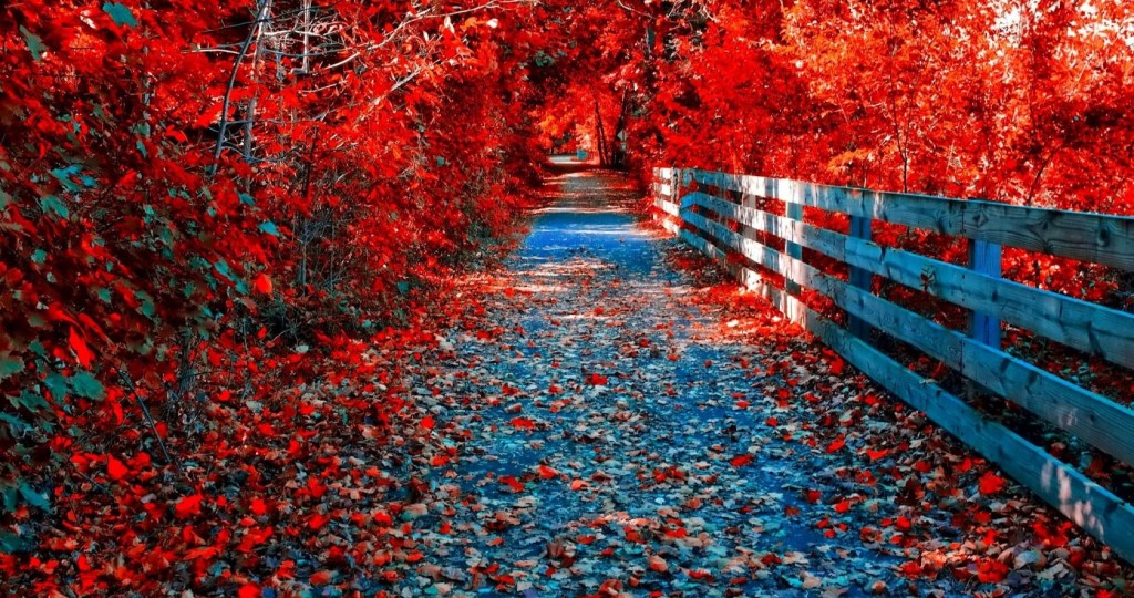 Ultra Hd Wallpaper Autumn - HD Wallpaper 