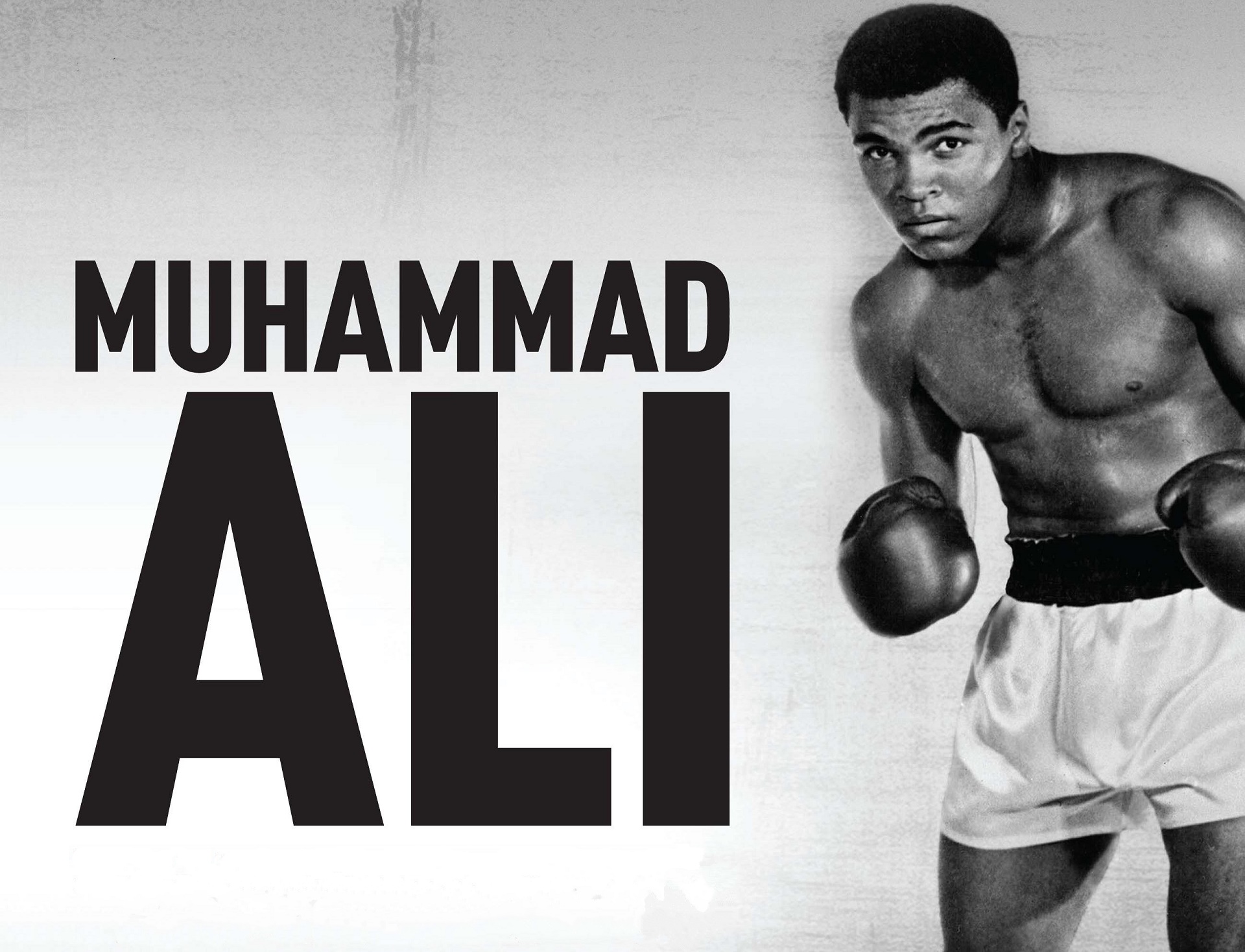 Muhammad Ali - HD Wallpaper 