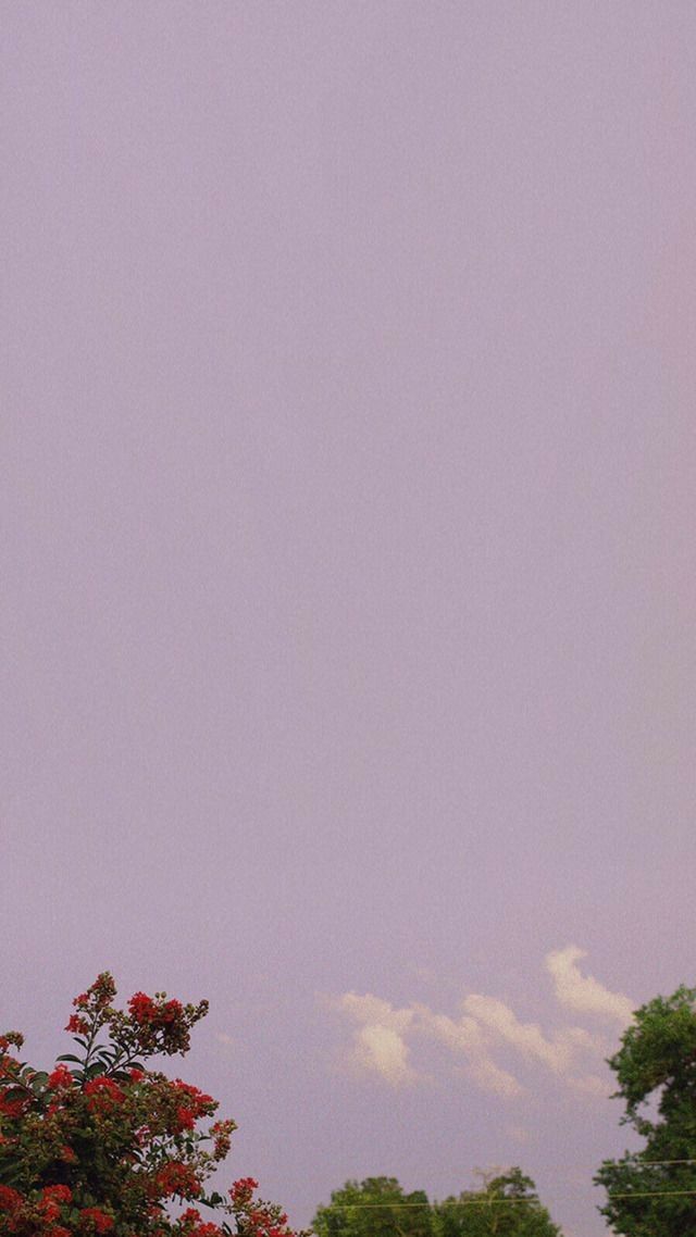 Iphone Wallpaper Aesthetic - 640x1138 Wallpaper Iphone Wallpaper Aesthetic - 640x1138 Wallpaper