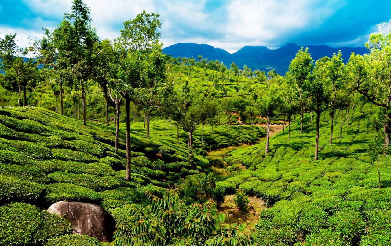 India Kerala Wallpapers - Most Beautiful Place In Kerala - HD Wallpaper 