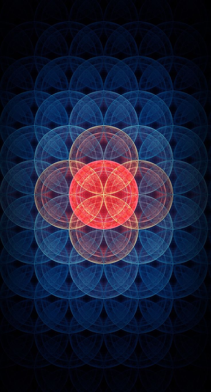 Flor De La Vida Fondo De Pantalla - HD Wallpaper 