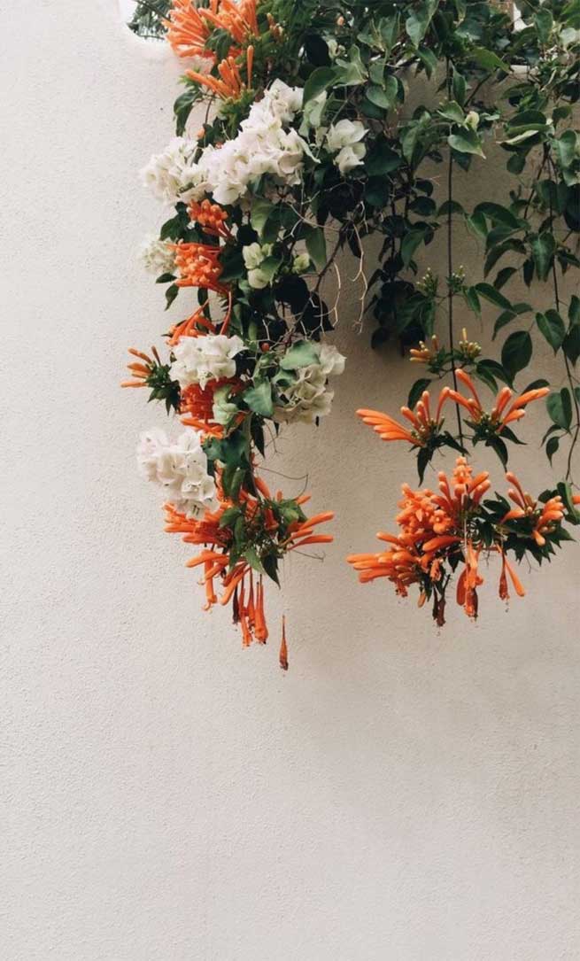 Flower Aesthetics, Iphone Wallpapers, Iphone Background, - Flower Aesthetic - 655x1085 Wallpaper Flower Aesthetics, Iphone Wallpapers, Iphone Background, - Flower Aesthetic - 655x1085 Wallpaper