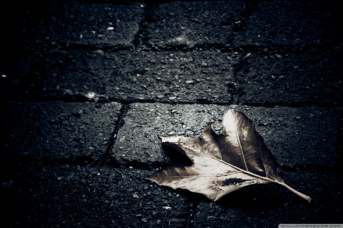 Lonely Wallpapers Lonely Lonely Wallpapers Lonely - Lonely Wallpaper Hd - 1152x768 Wallpaper Lonely Wallpapers Lonely Lonely Wallpapers Lonely - Lonely Wallpaper Hd - 1152x768 Wallpaper