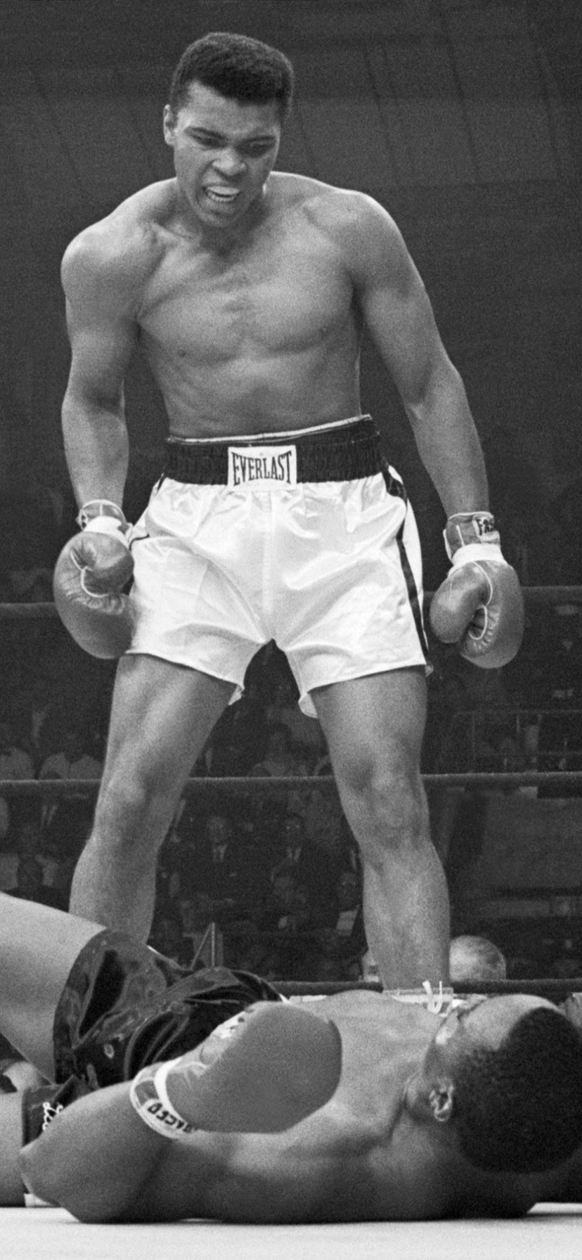 Iphone Xr Muhammad Ali Wallpaper - Muhammad Ali Wallpaper Iphone - HD Wallpaper 