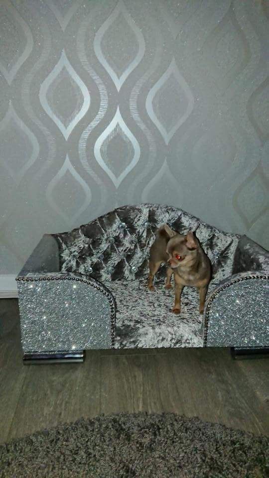 Crushed Velvet Pet Bed - Crushed Velvet Dog Bed - HD Wallpaper 