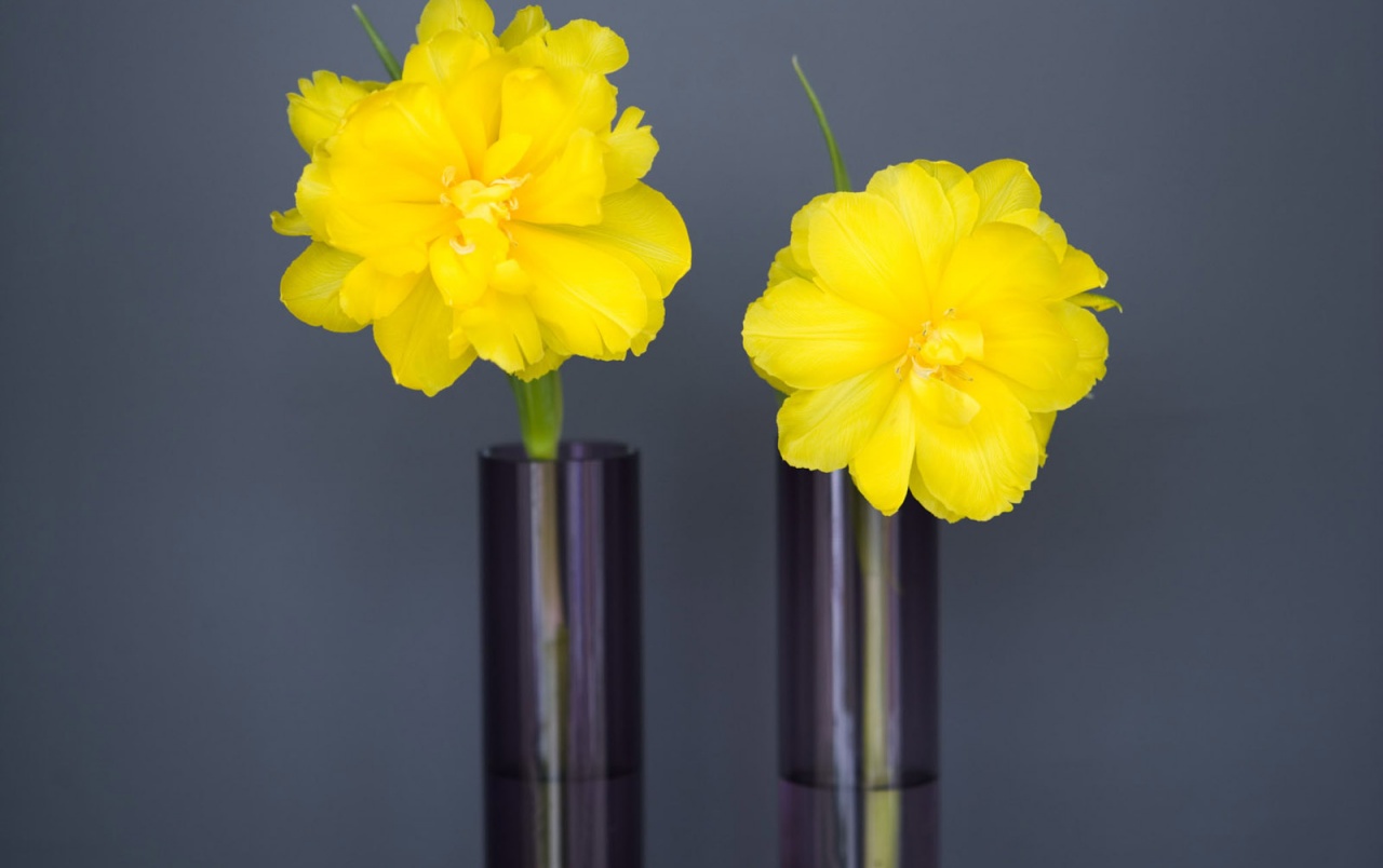 Yellow Grey Wallpapers - Amarillo Y Gris - HD Wallpaper 