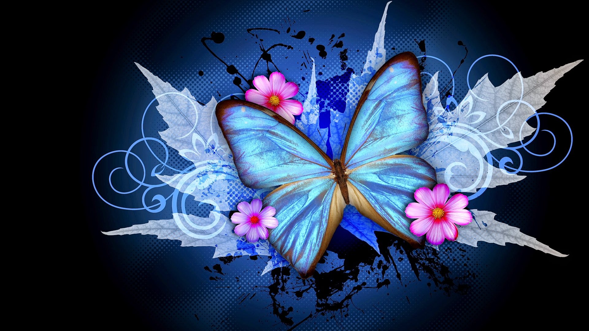 Hd Abstract Wallpaper - Beautiful Butterfly Images For Whatsapp Dp -  1920x1080 Wallpaper 