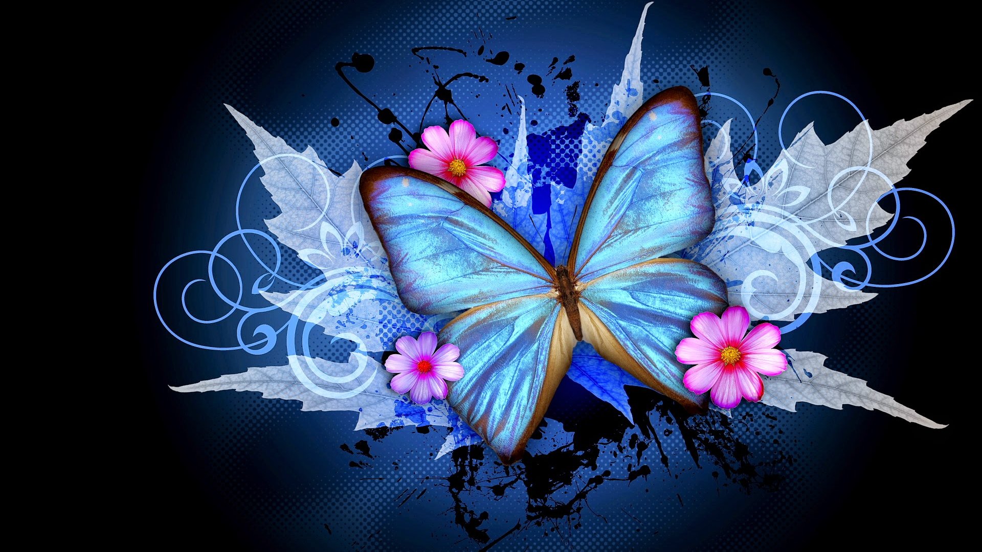 Hd Abstract Wallpaper - Beautiful Butterfly Images For Whatsapp Dp - 1920x1080 Wallpaper Hd Abstract Wallpaper - Beautiful Butterfly Images For Whatsapp Dp - 1920x1080 Wallpaper