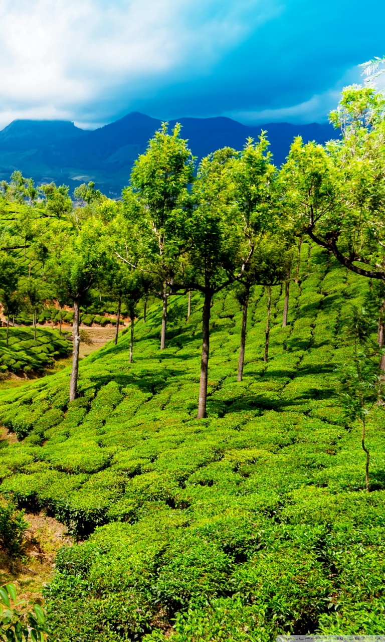 Most Beautiful Place In Kerala - HD Wallpaper 