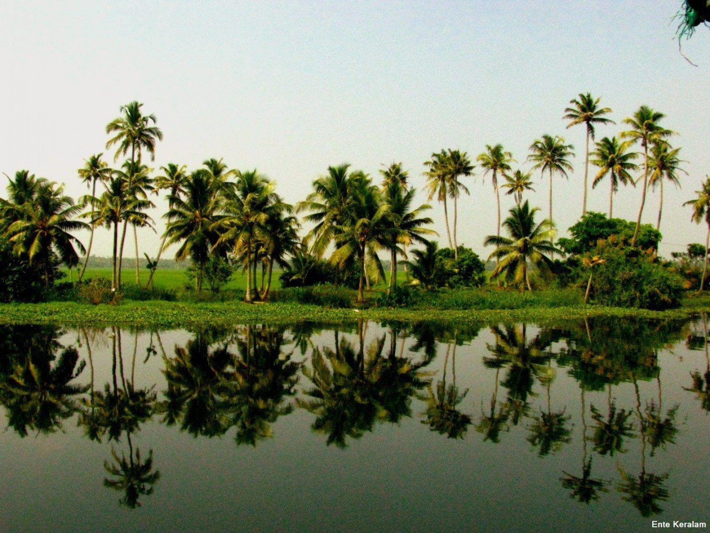 Kerala Nature Hd Wallpapers - Kerala Nature Photo Gallery - HD Wallpaper 