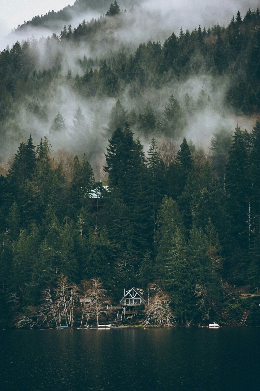 Cabaña En El Bosque Image - Larch - HD Wallpaper 