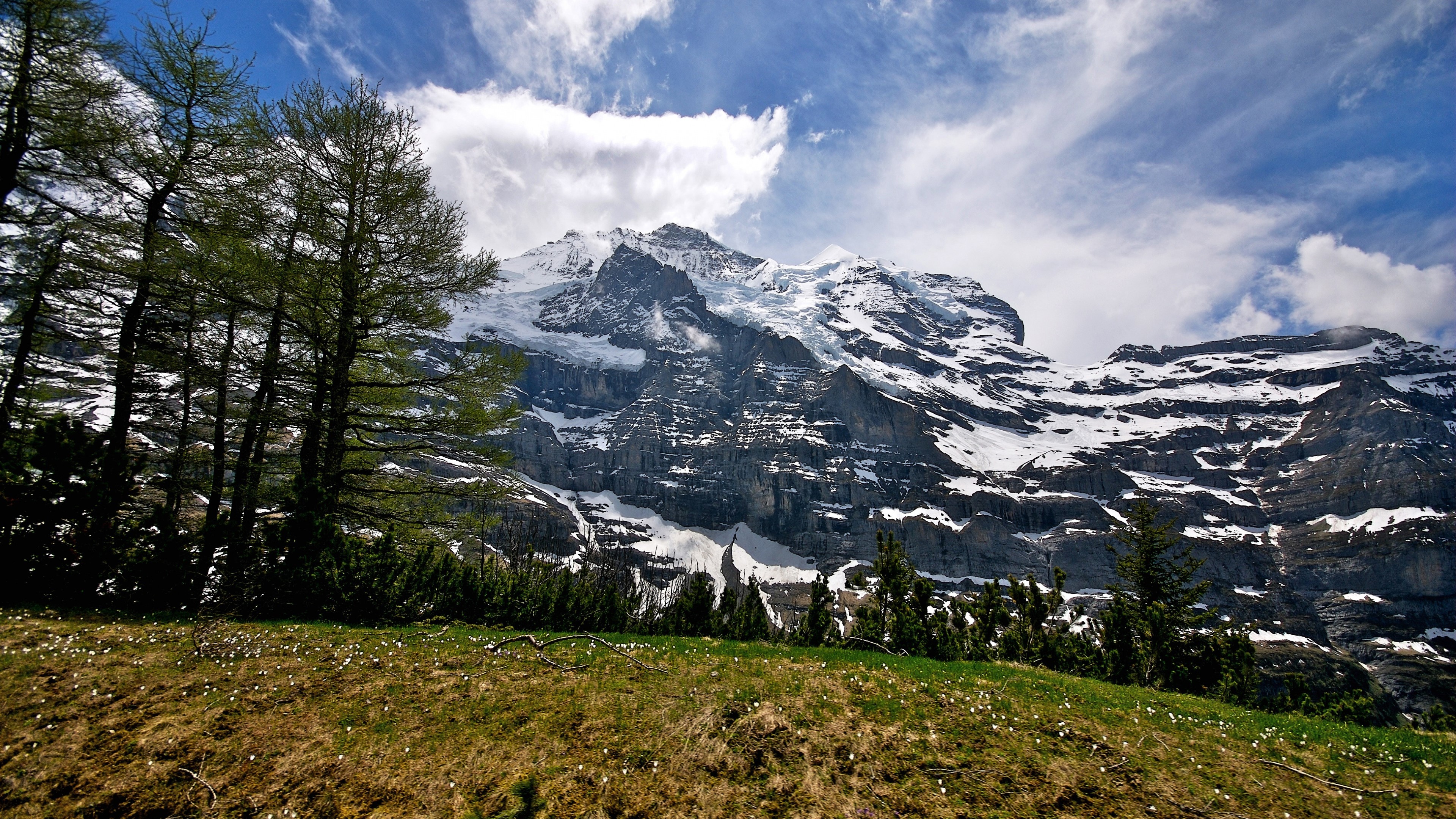 Kleine Scheidegg - HD Wallpaper 