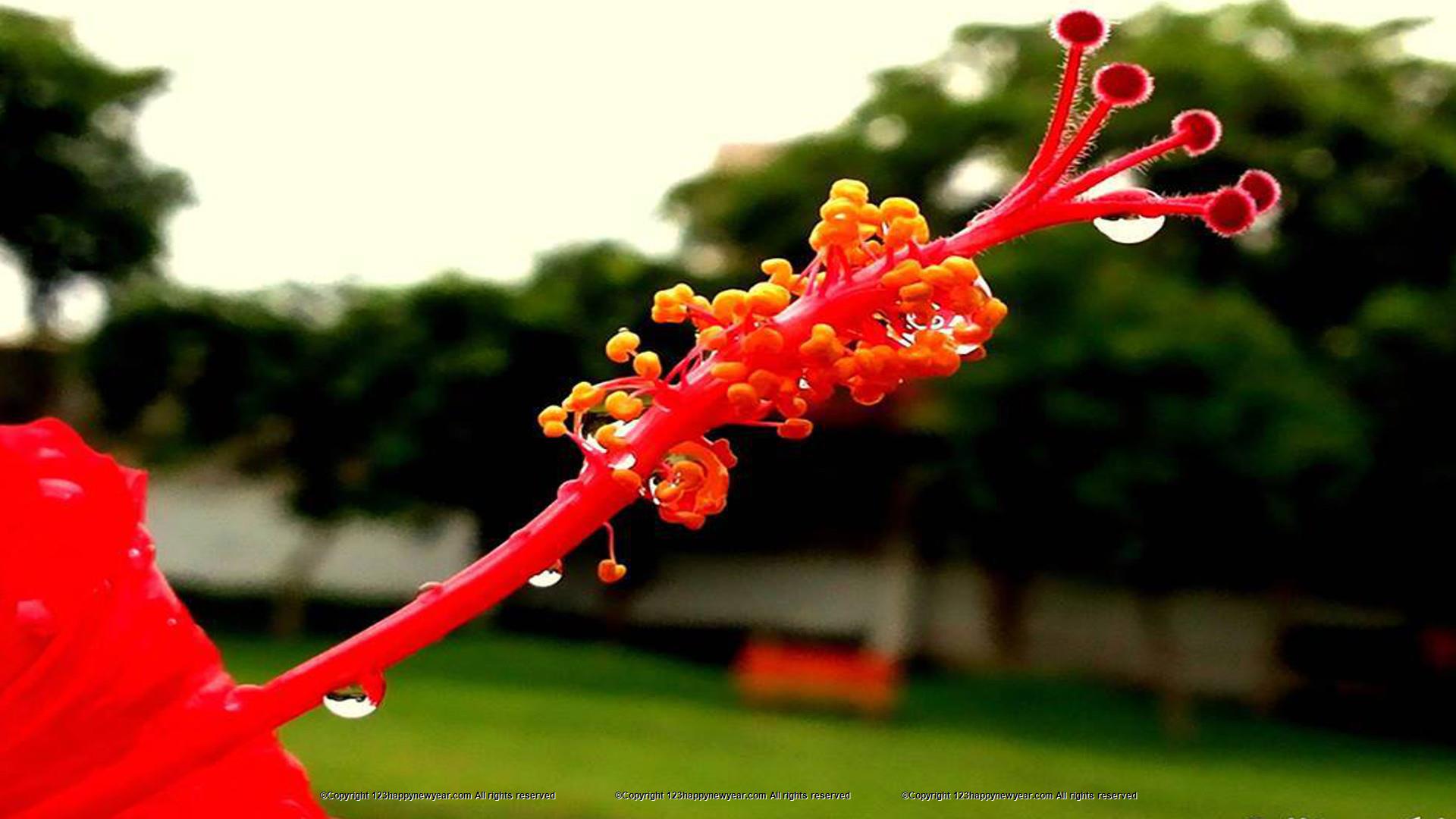 Kerala Images Hd - HD Wallpaper 