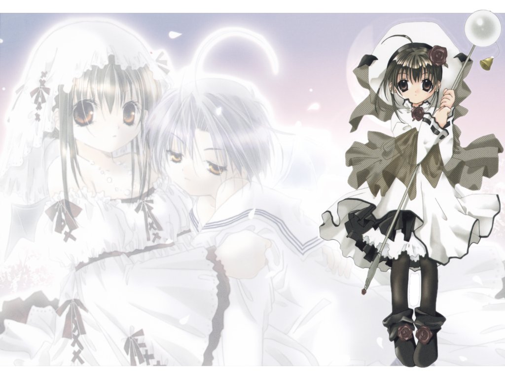 Shia Pita Ten Koge Donbo - HD Wallpaper 