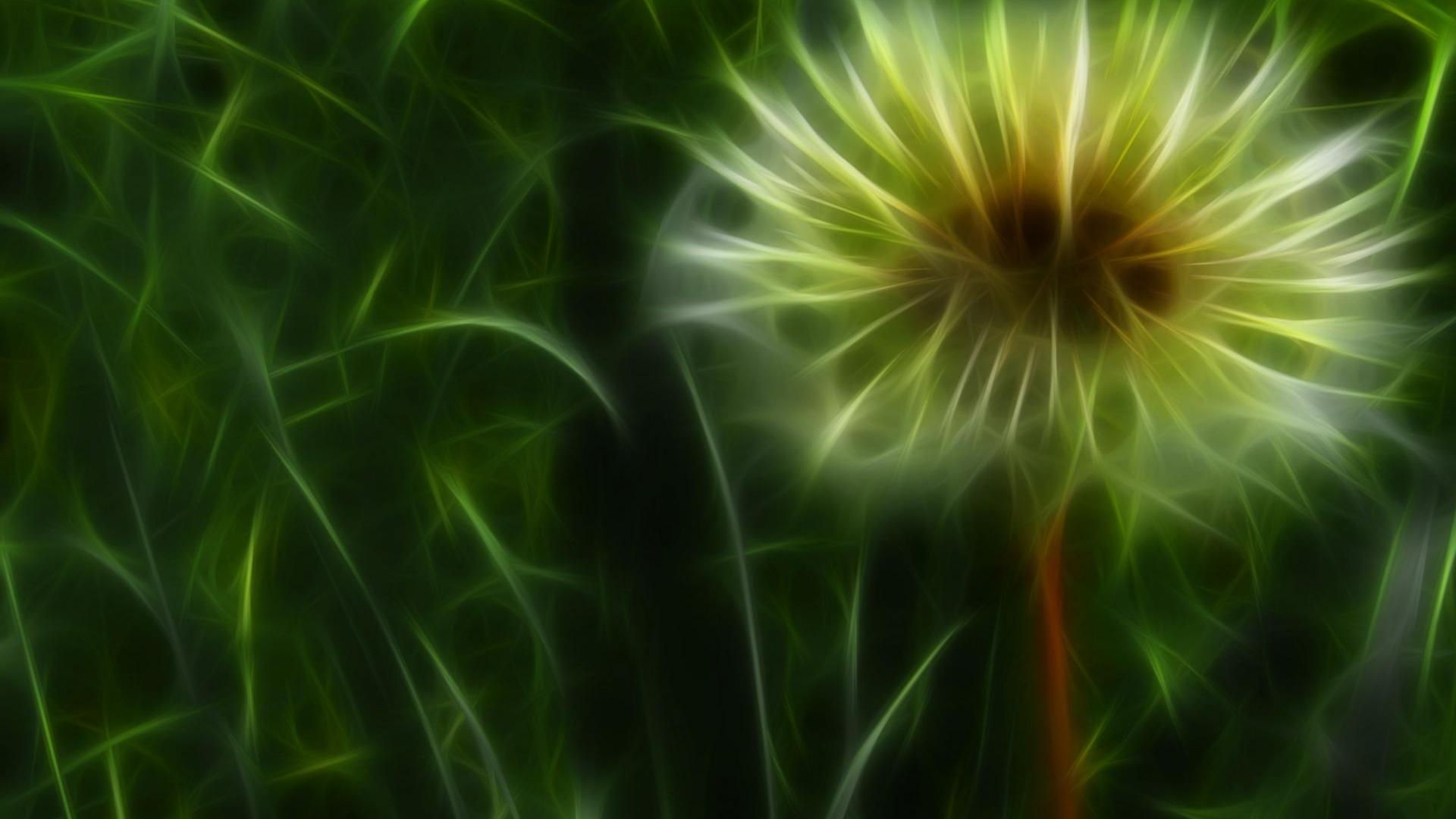 Fantasy Blumen - Fantasy Flower - HD Wallpaper 