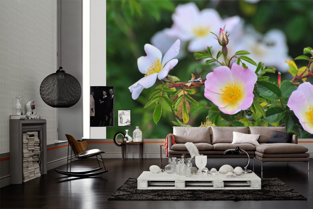 Livingwalls Photo Wallpaper Blumen Dd100776 - Creation Fototapete - HD Wallpaper 