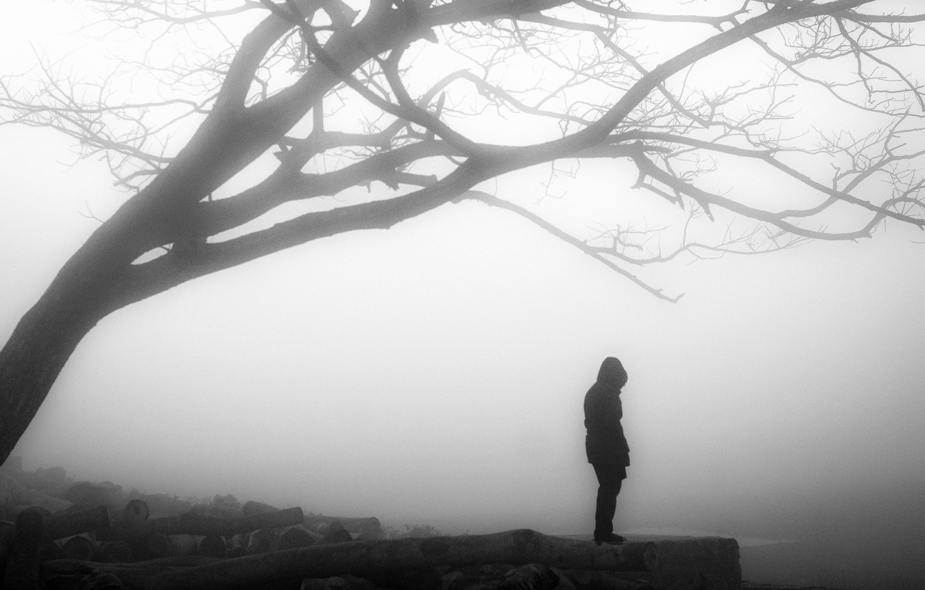 Photo Wallpaper Misty, Tree, Solitude, Loneliness, - Foggy Person - HD Wallpaper 