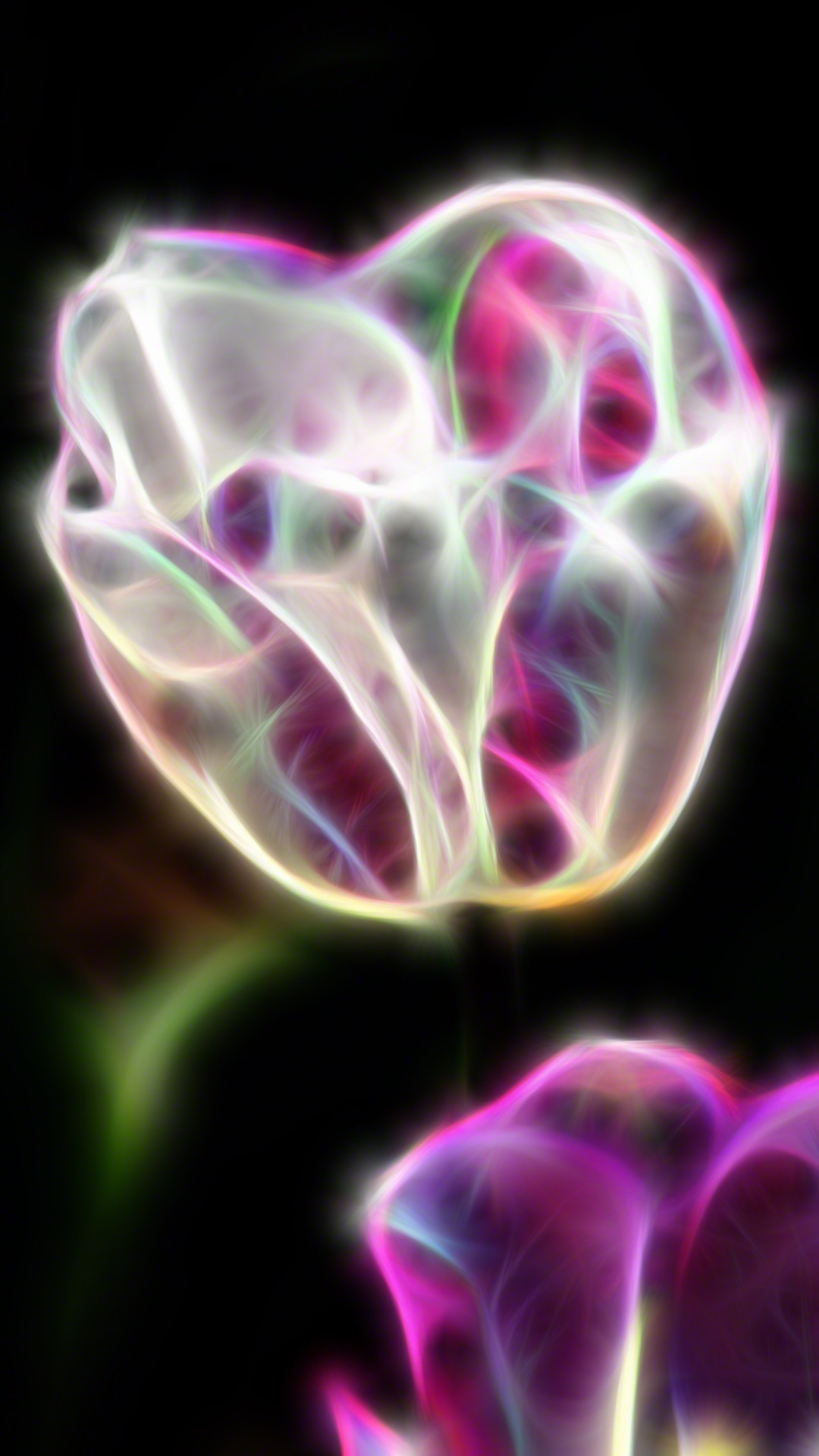 Wallpaper - HD Wallpaper 