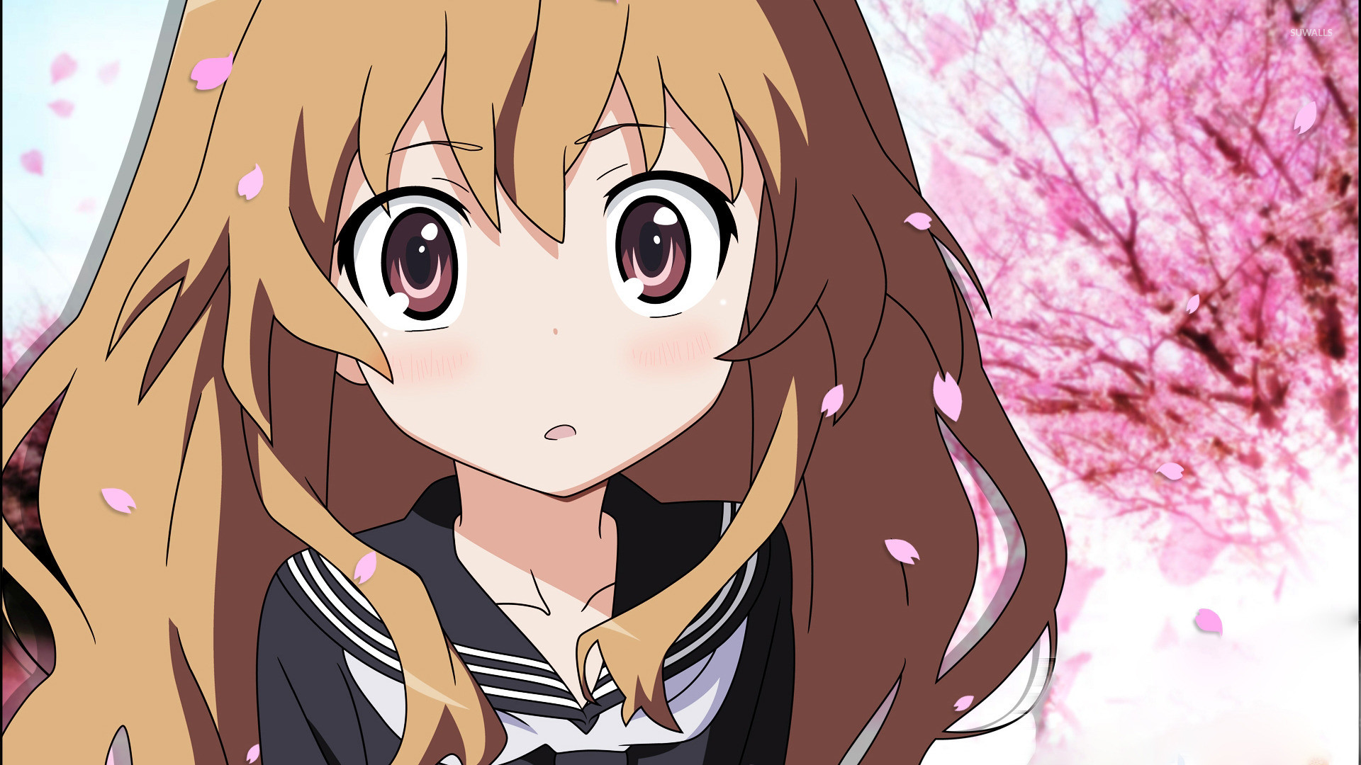 Taiga Aisaka - HD Wallpaper 