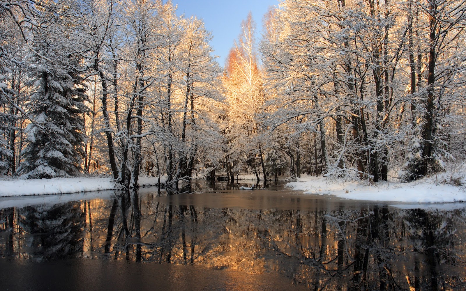 Paisajes De Invierno - Nature Winter Computer Backgrounds - HD Wallpaper 