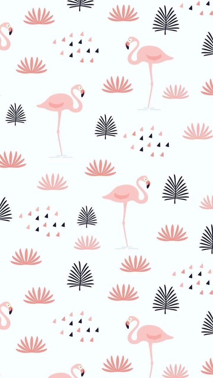 Background Flamingo - HD Wallpaper 