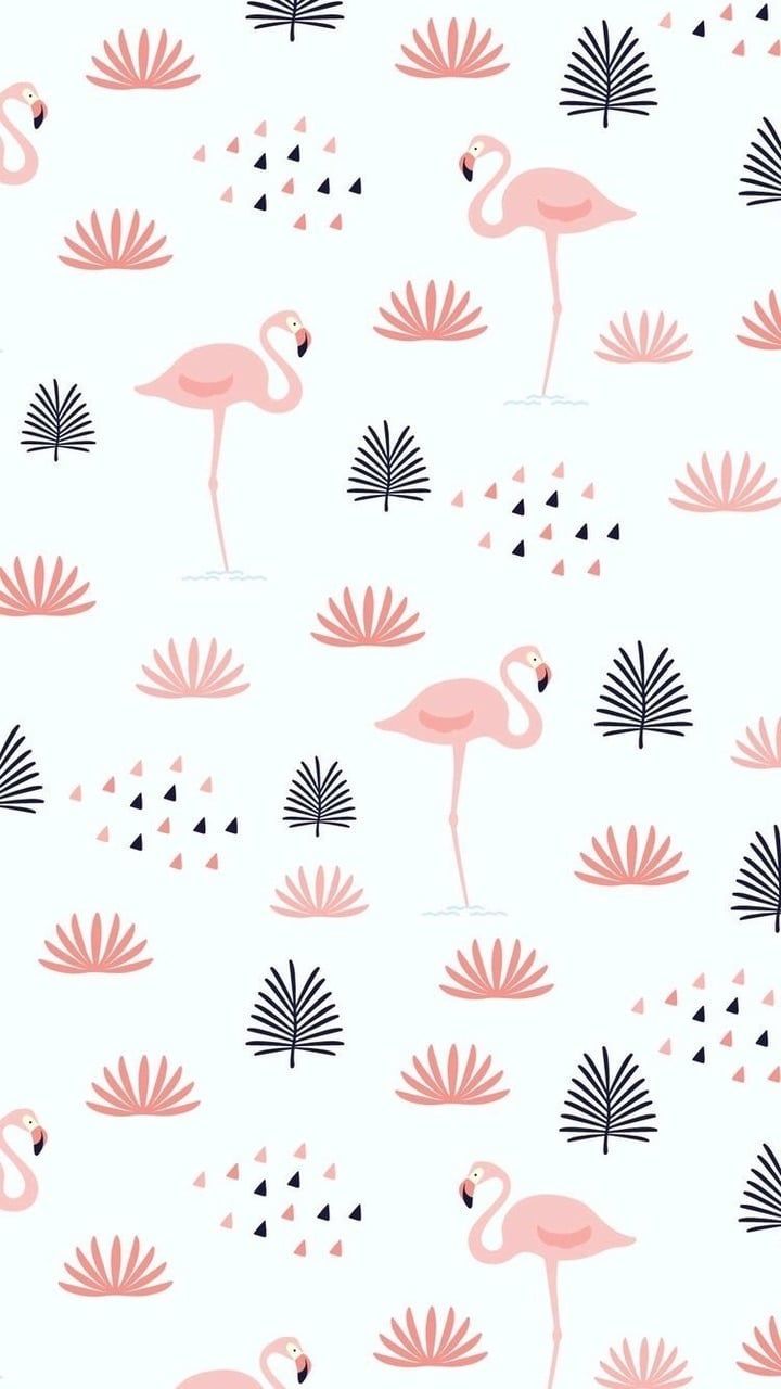 Background Flamingo - HD Wallpaper 