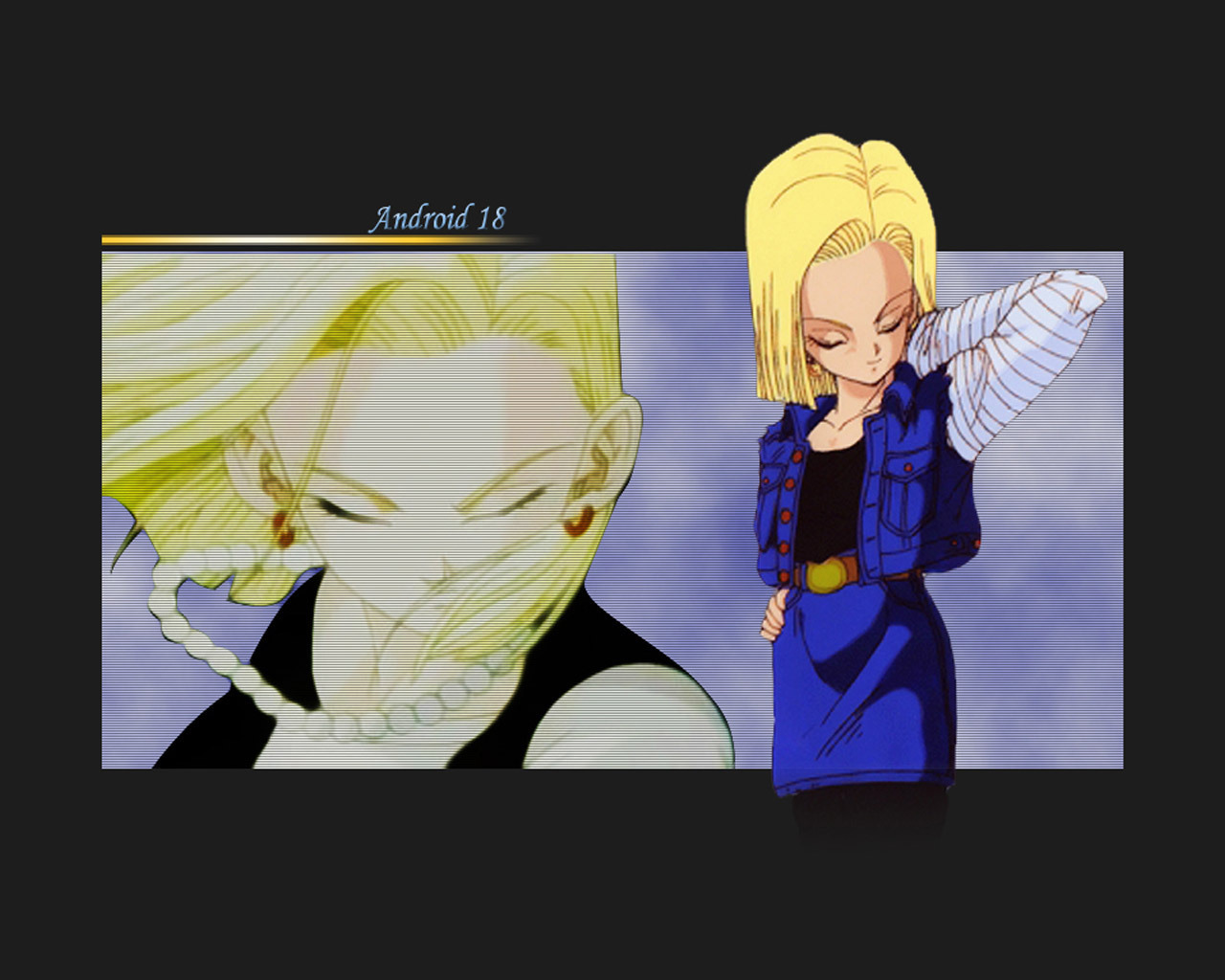 Android 18 - Dragon Ball Z Android 18 - HD Wallpaper 