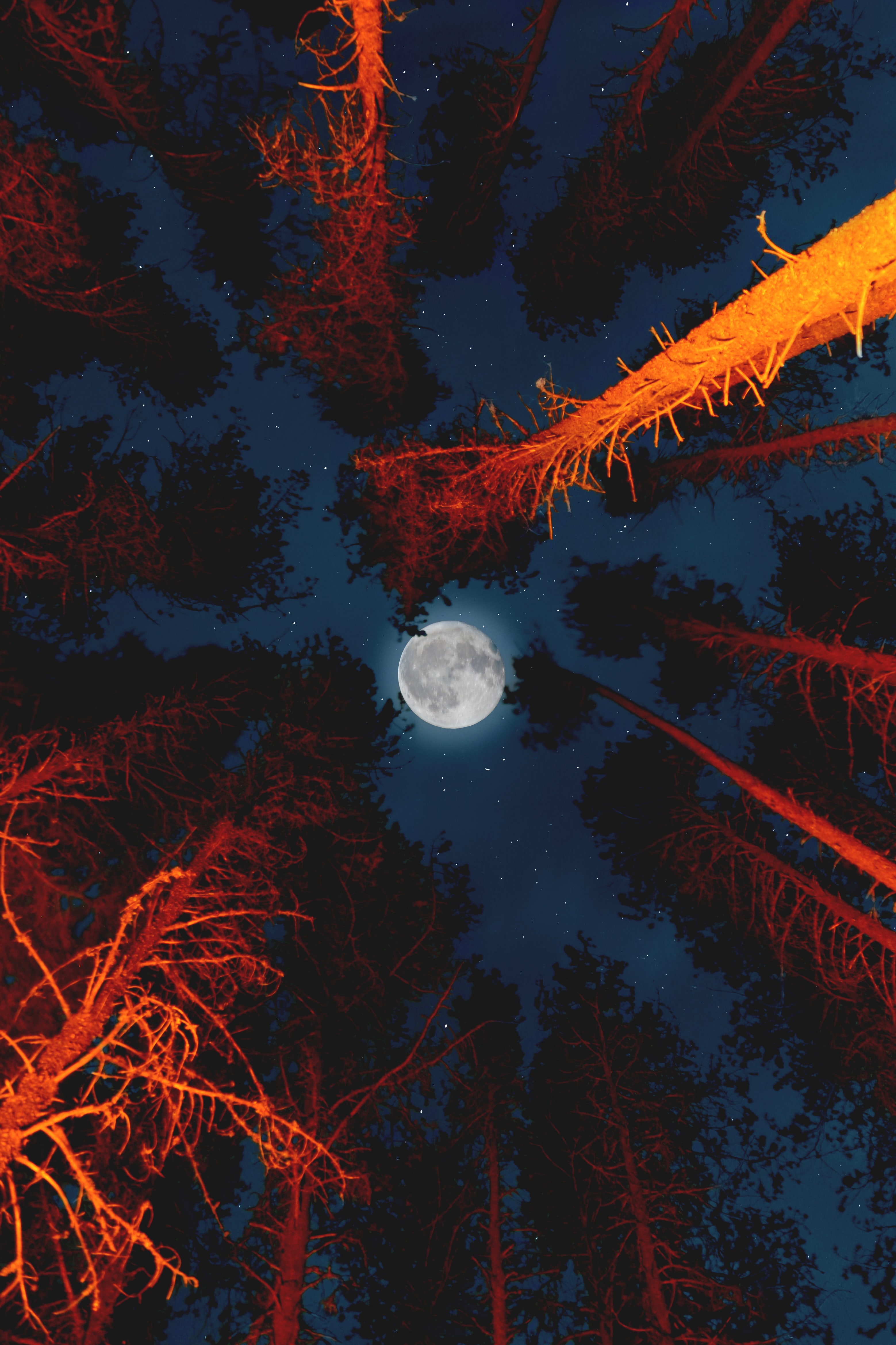 Ipad Wallpaper Red Moon - HD Wallpaper 