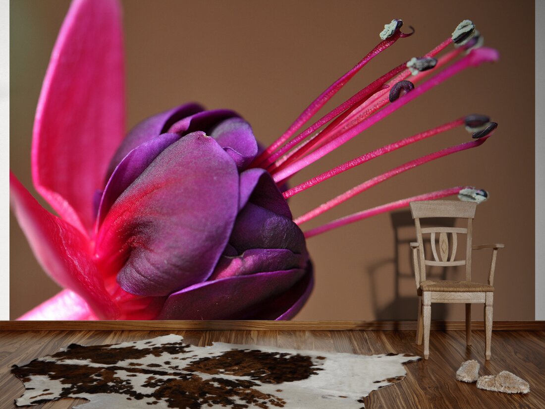 Livingwalls Photo Wallpaper Blumen Dd100788 - 93791 2 - HD Wallpaper 