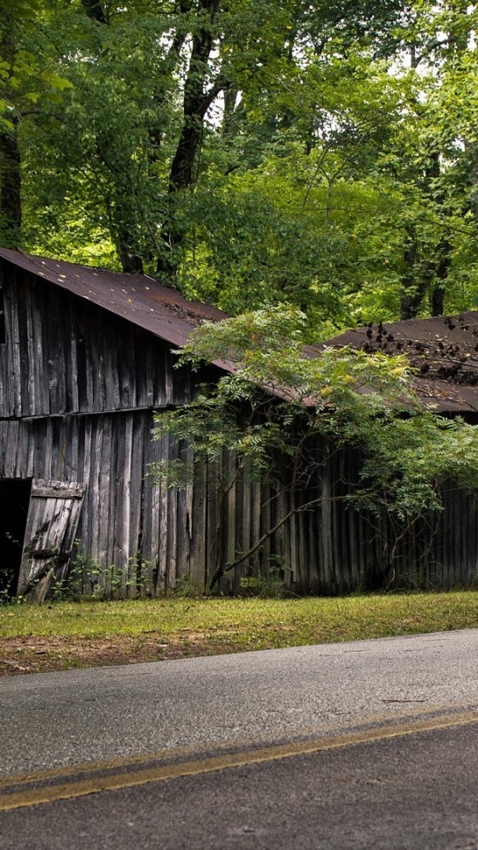 Shed, Bosque, Green, Road - Road Background Side Hd - HD Wallpaper 