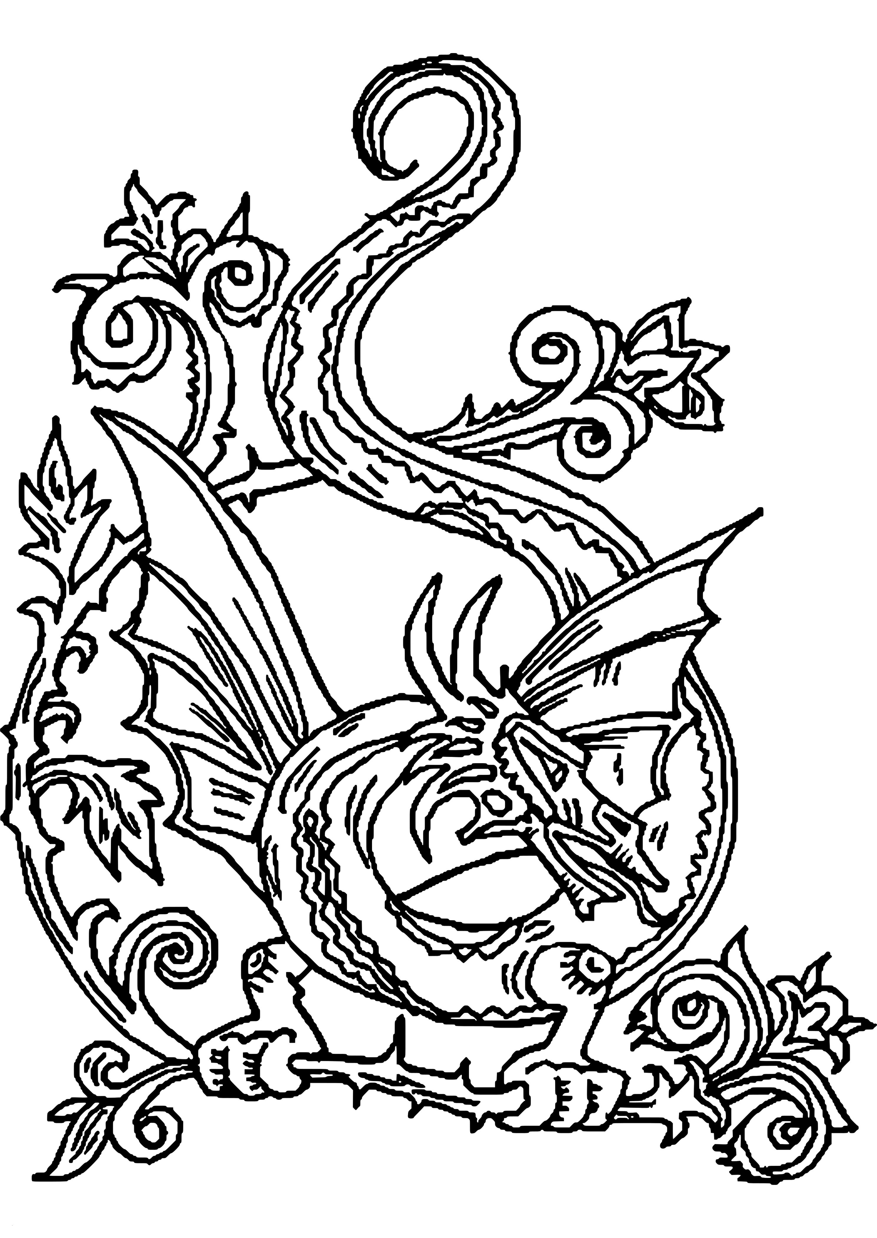 New Free Printable Adult Coloring Pages Dragons - HD Wallpaper 