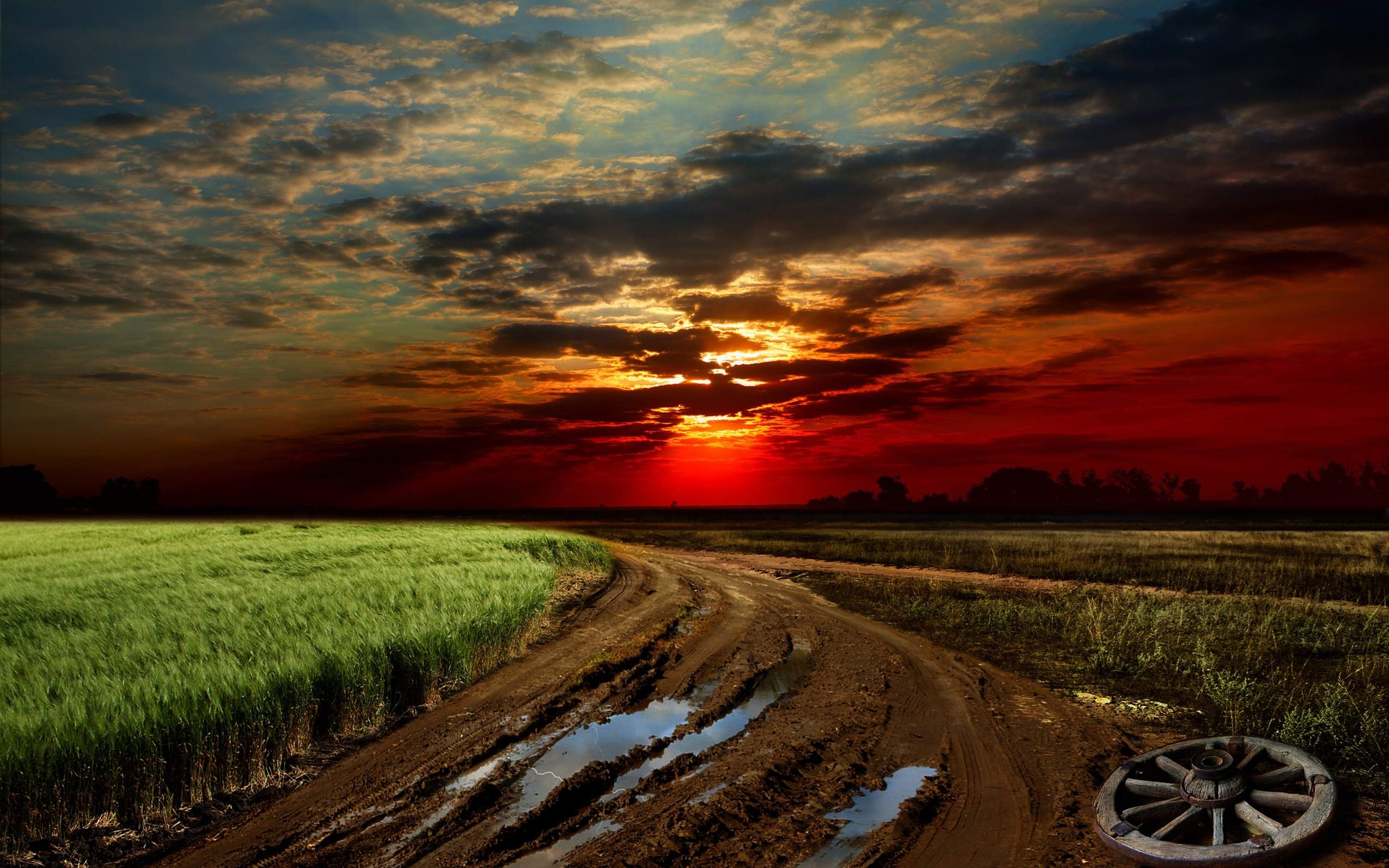 Village Road Green Field Sunset Amazing Nature Wallpaper - Nebraska Landscape - HD Wallpaper 