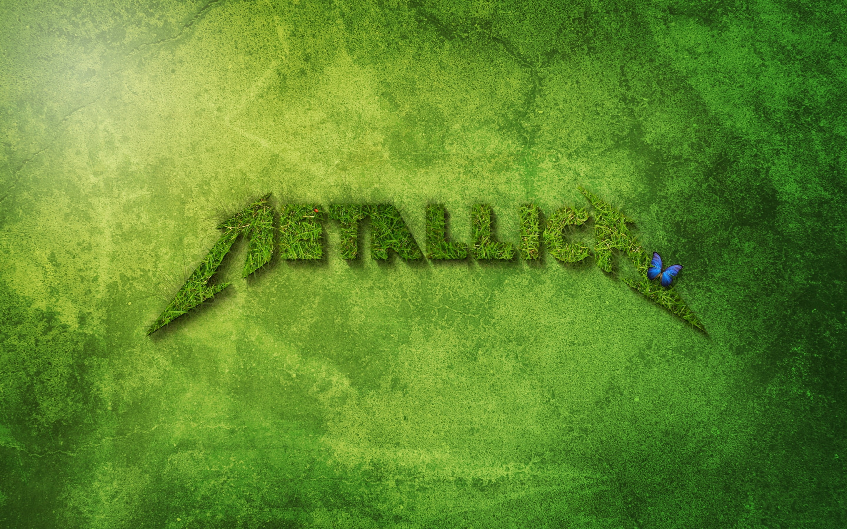 Metallica Fondo - HD Wallpaper 