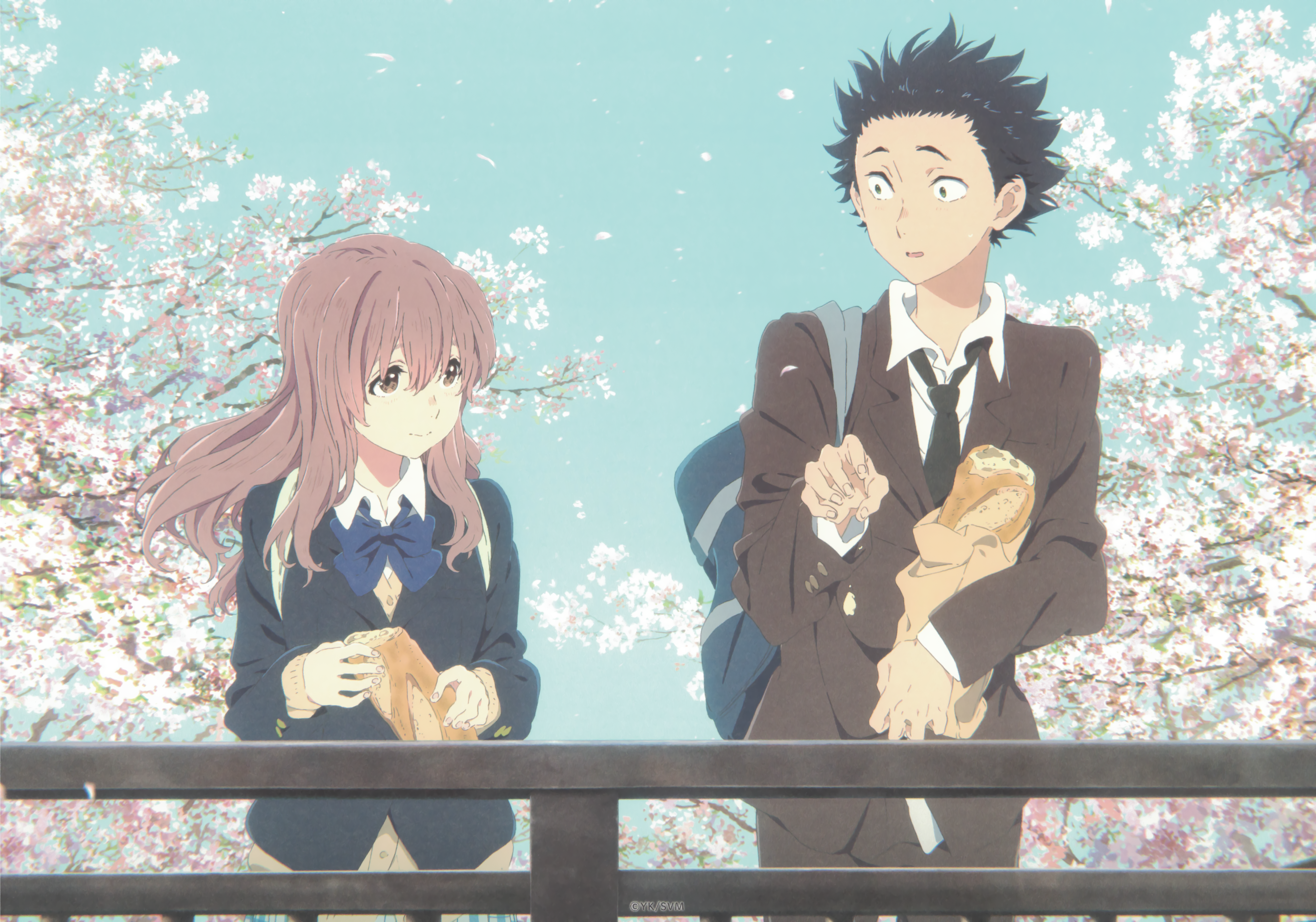 Anime Koe No Katachi - HD Wallpaper 
