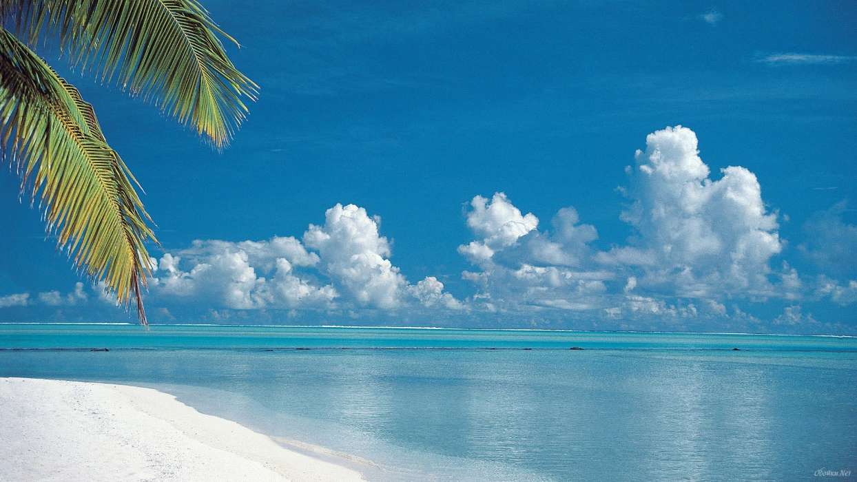 Handy-wallpaper Landschaft, Sea, Strand, Sommer Kostenlos - Tropical Beach - HD Wallpaper 