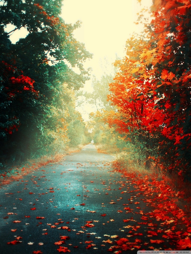 Sfondi Full Hd - 768x1024 Wallpaper - teahub.io