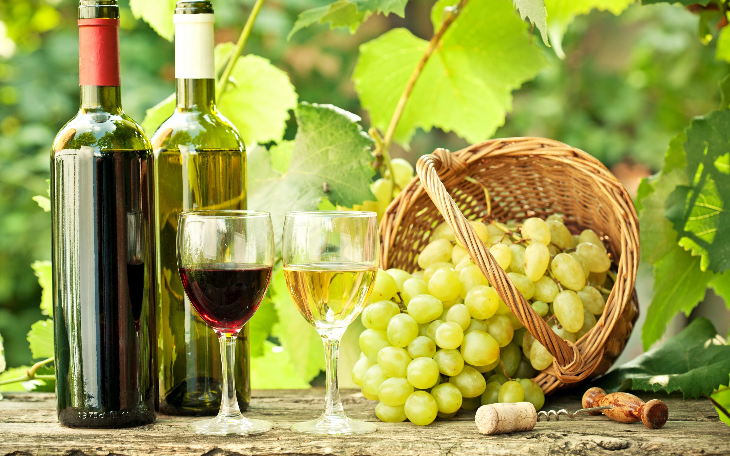 Wine Grapes - HD Wallpaper 