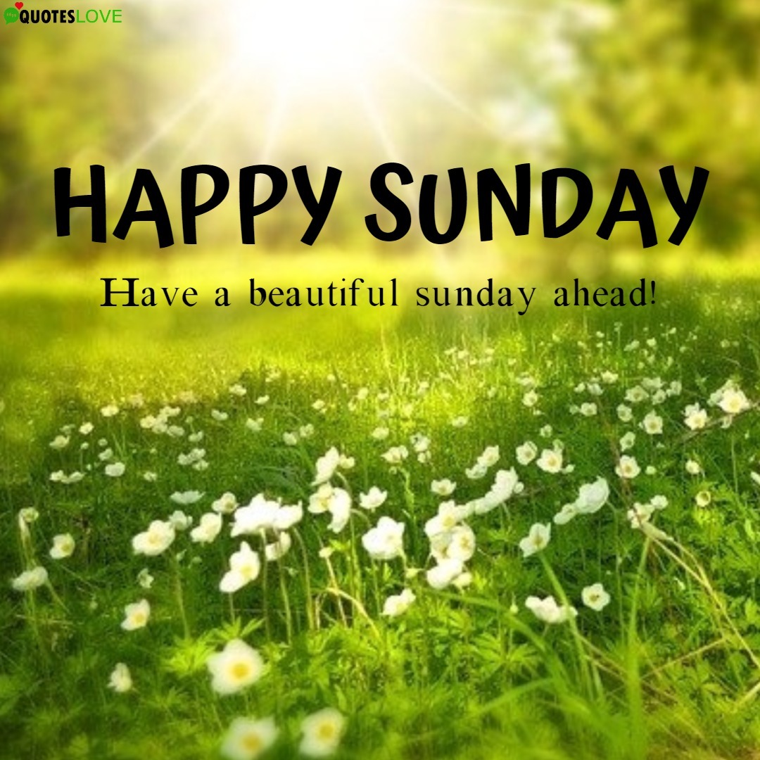 Happy Sunday Photo, Images, Photos - Happy Sunday - HD Wallpaper 