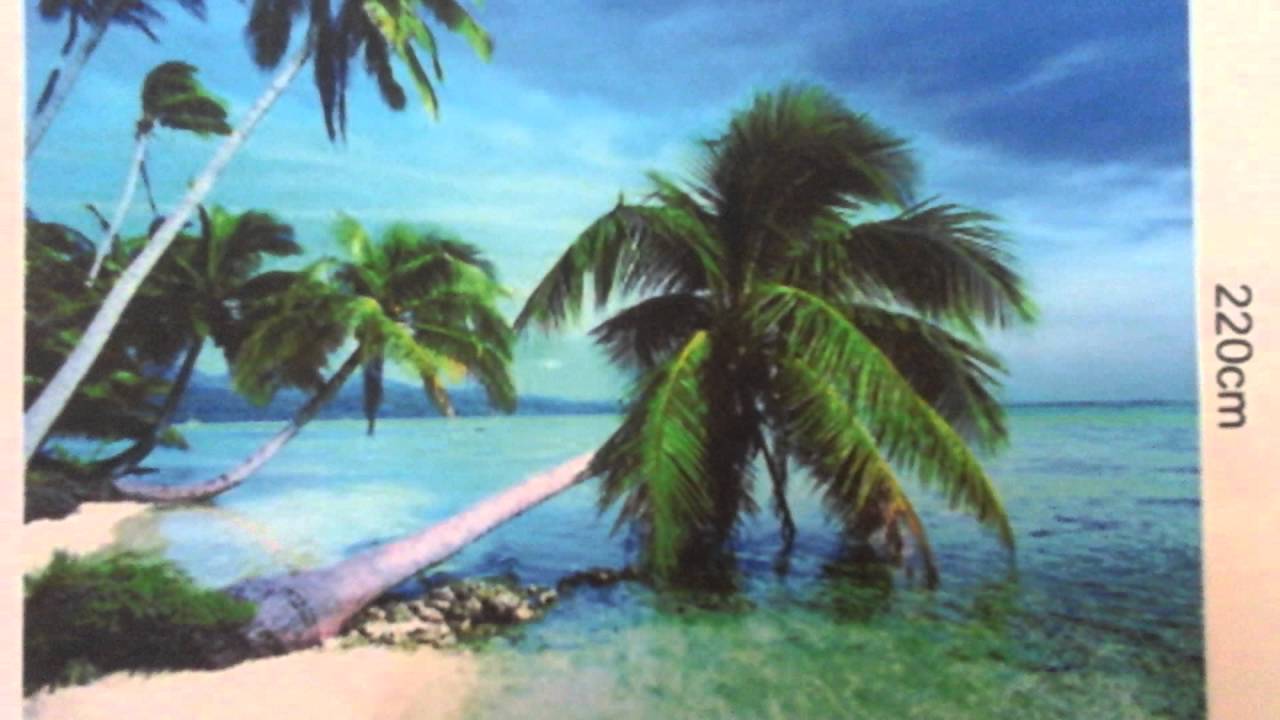 Beautiful Pictures Of Tropical Beaches - HD Wallpaper 