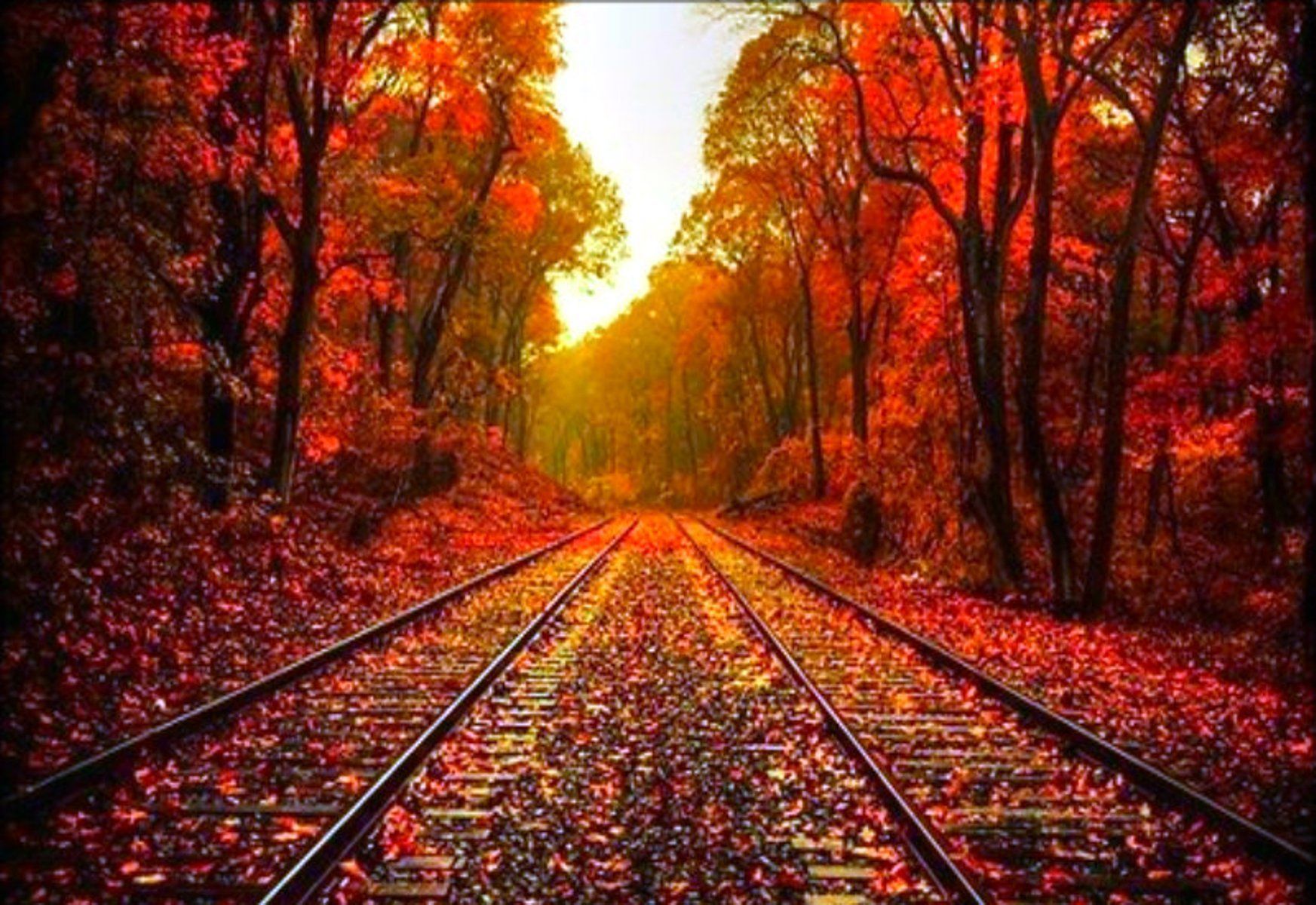 Beautiful Fall Backgrounds - HD Wallpaper 
