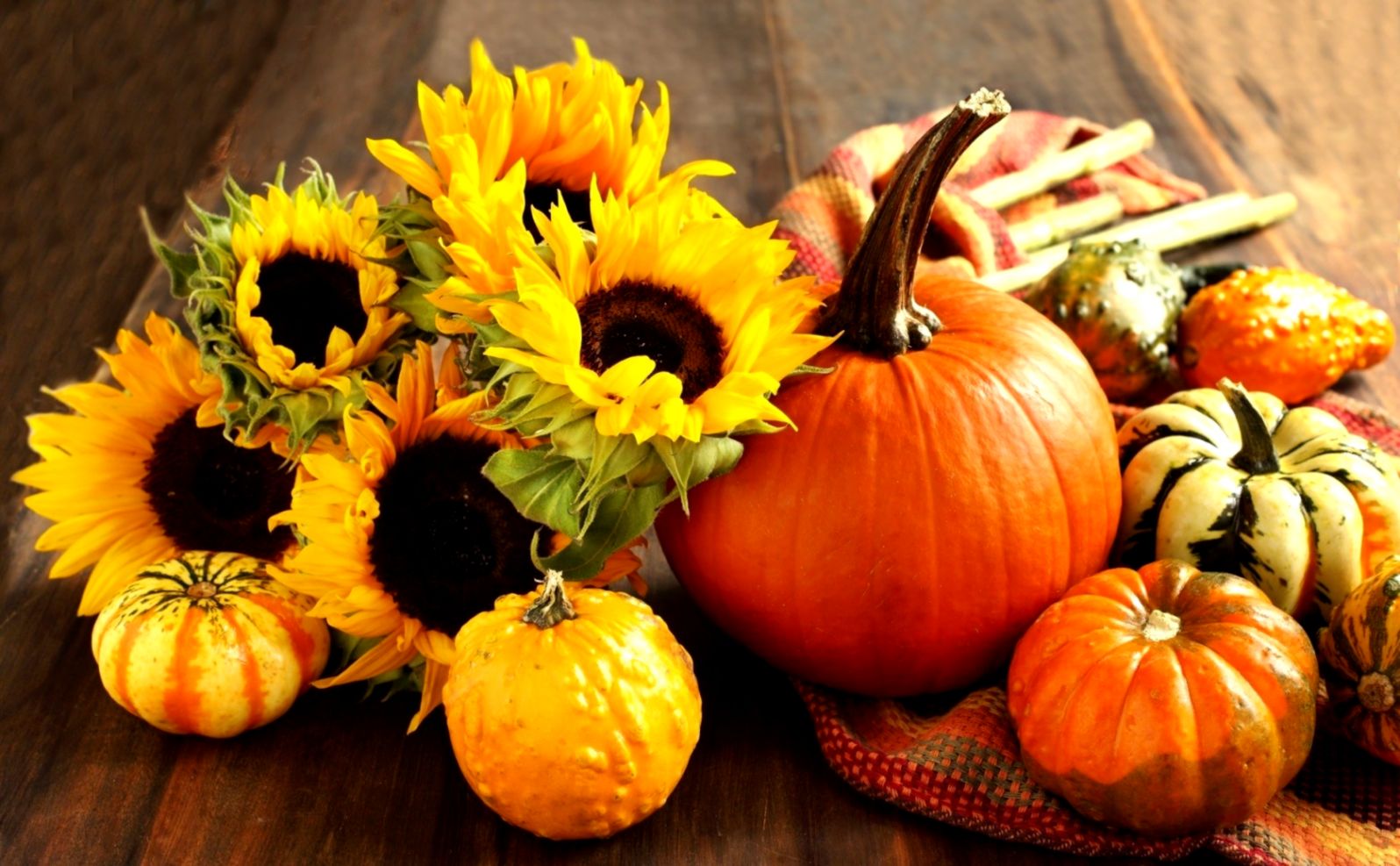 Fall Wallpaper - High Resolution Pumpkin Background - 1596x987