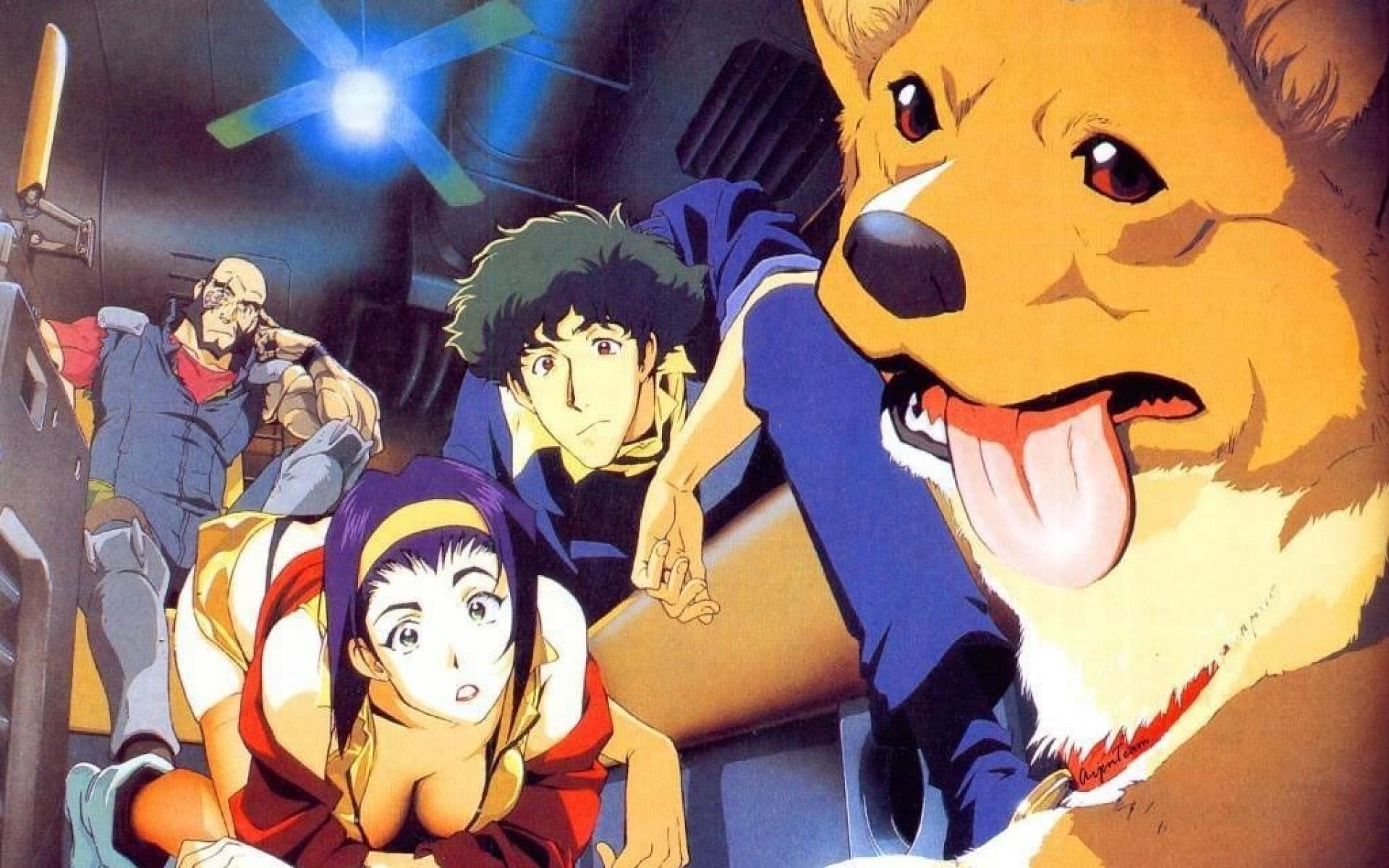 Cowboy Bebop Ein - HD Wallpaper 