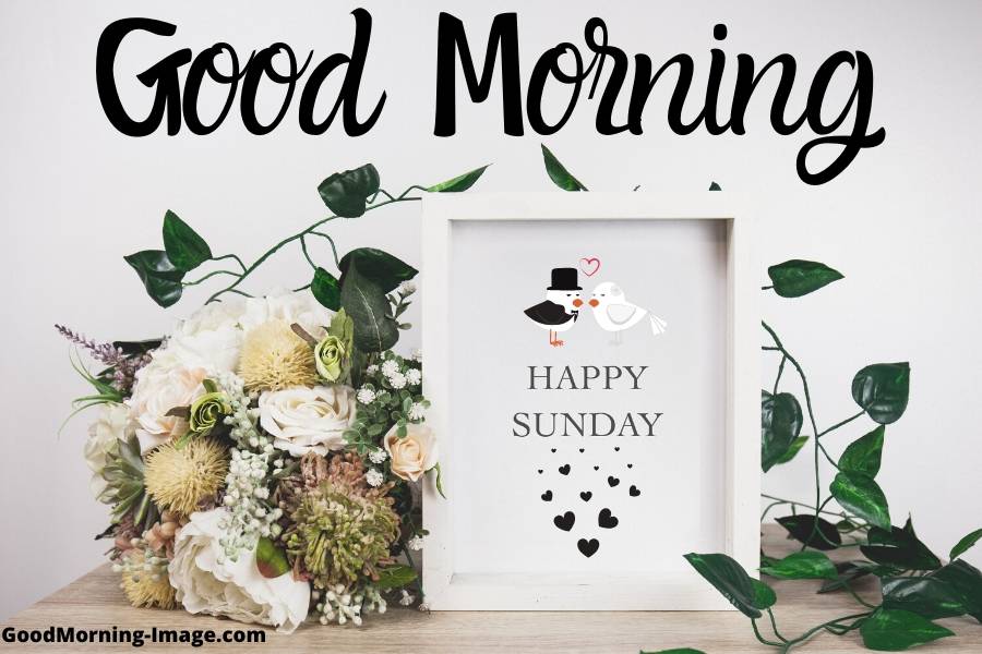 Happy Sunday Images - Good Morning Sunday Images Hd For Whatsapp - HD Wallpaper 