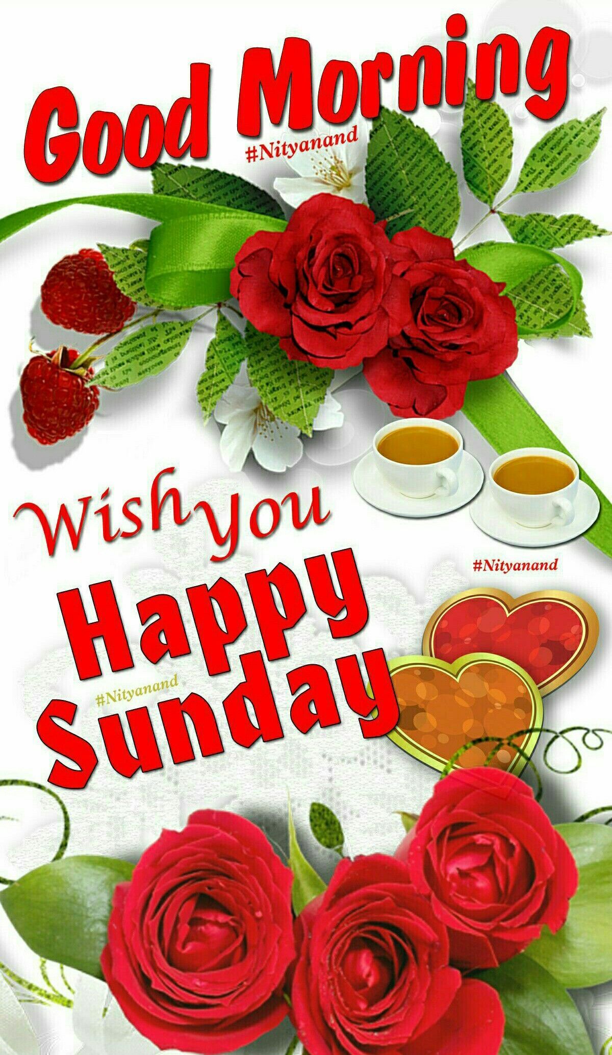 Happy Sunday Good Morning Message - HD Wallpaper 